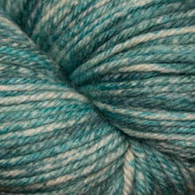 Load image into Gallery viewer, Cascade 220 Superwash Effects