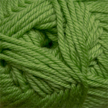 Load image into Gallery viewer, Kiwi - 14