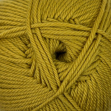 Load image into Gallery viewer, Golden Palm - 69