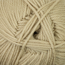 Load image into Gallery viewer, Silver Fern - 70