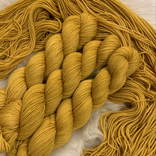 Load image into Gallery viewer, Bridle Trails DK