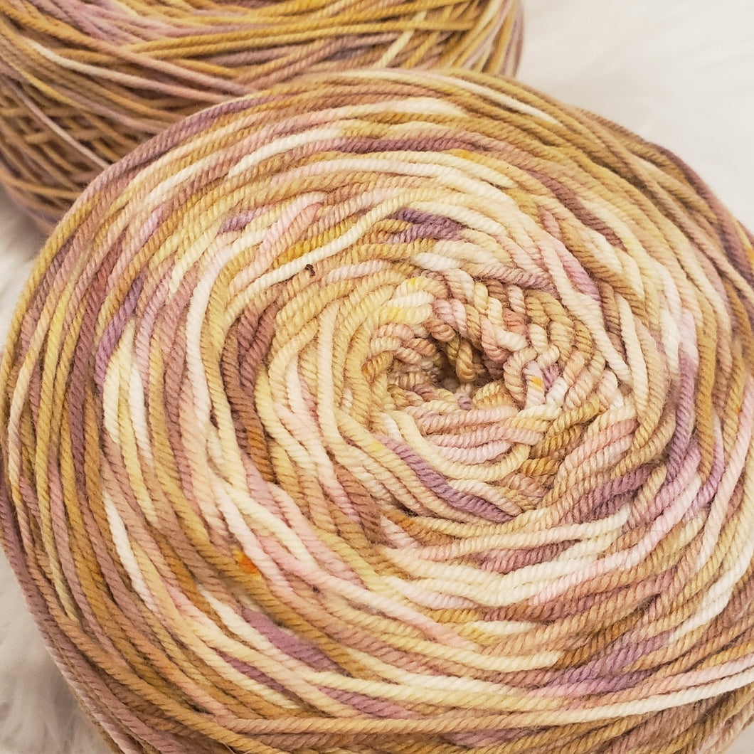 Frolicking Feet Transitions DK Weight